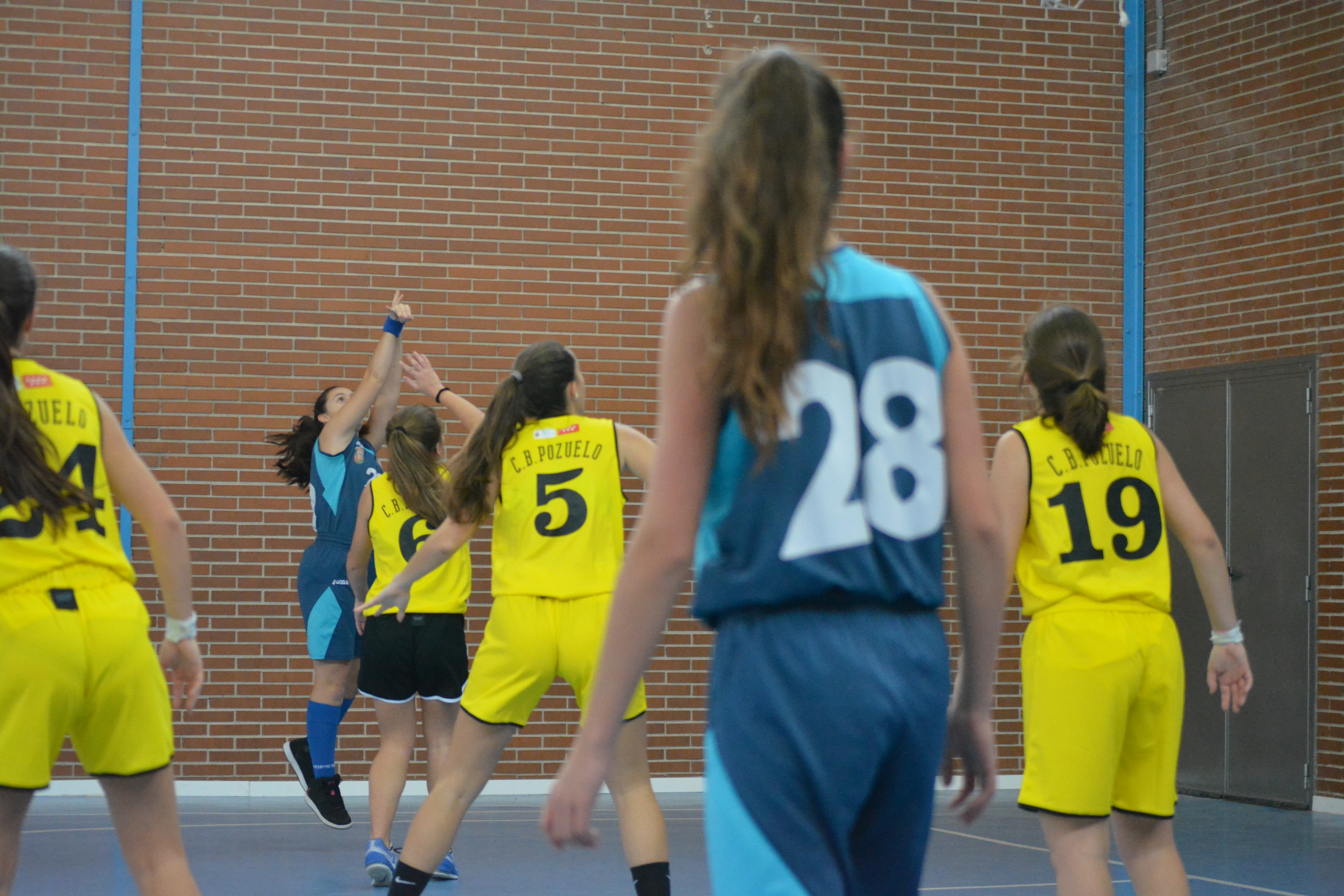 CB Pozuelo D - Júnior Femenino